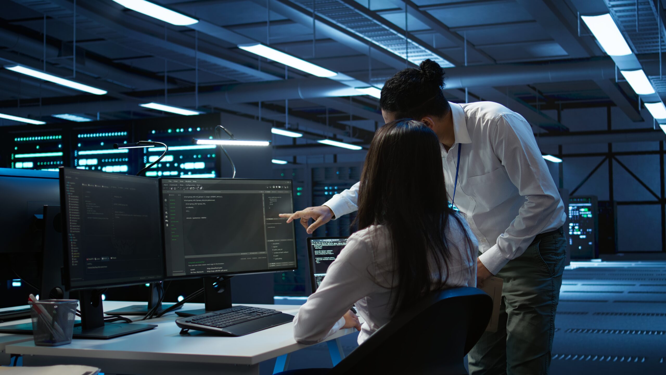 Two IT professionals reviewing code